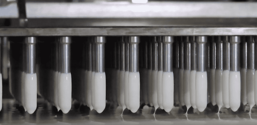 capsule molding and cutting 1